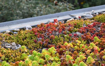 the cost of Mountsolie green roof installation