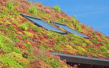 Mountsolie living roof systems